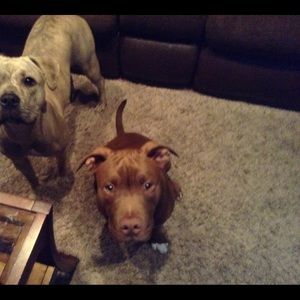 Meet your Posher, Colby